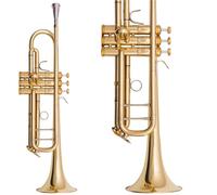 Tromba Dello Strumento Musicale Esame Per Principianti Di Tromba In Si Bemolle A Tre Note Esecuzione Professionale(Golden brass)