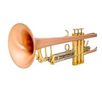 Tromba Dello Strumento Musicale La Tromba In Si Bemolle È Uno Strumento Professionale Facile Da Imparare