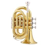 Tromba Dello Strumento Musicale Mini Tromba In Sib Bemolle Strumento A Fiato In Ottone Con Guanti E Custodia Per Il Trasporto(Light green)