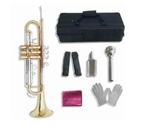 Tromba Dello Strumento Musicale Strumento A Tromba Pesata In Si Bemolle Per Principianti E Adulti Esame Professionale