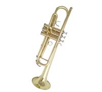 tromba dello strumento musicale Strumento A Tromba Si Bemolle Tromba A Tre Toni Esame Per Principianti Professionista Che Suona L'ottone Si Bemolle