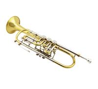 Tromba Dello Strumento Musicale Strumento Musicale Tromba A Chiave Piatta Per Principianti E Adulti Semplice