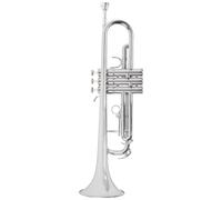 Tromba Dello Strumento Musicale Strumento Tromba In Si Bemolle Ottone Professionale Per Principianti(Silver)