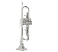 Tromba Dello Strumento Musicale Strumento Tromba Si Bemolle Strumento Professionale In Ottone Per Principianti(Silver)