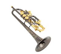 tromba dello strumento musicale Tromba A Valvola Rotativa In Sib Tromba In Si Bemolle Ottone Nichel Nero Dorato Tromba Professionale Con Custodia In Pelle