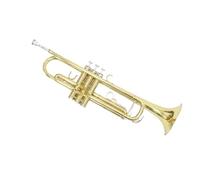 tromba dello strumento musicale Tromba Cinese Tromba Standard Laccata Oro Corpo In Ottone