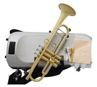 Tromba Dello Strumento Musicale Tromba Con Custodia Rigida Parti E Accessori Strumento Musicale Professionale Per Adulti