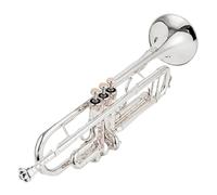 Tromba Dello Strumento Musicale Tromba Dargento Tubo Strumento Piatto Ottone Principiante Professionale