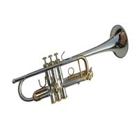 Tromba Dello Strumento Musicale Tromba In Ottone Che Suona La Tonalità Do Strumento Con Curvatura Dorata