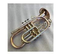 tromba dello strumento musicale Tromba In Ottone Dorato Con Cornetta In Sib Con Custodia E Bocchino Strumenti Musicali