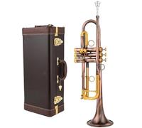 Tromba Dello Strumento Musicale Tromba In Si Bemolle In Rame Rosso Con Chiave Dorata Strumento Professionale In Ottone Con Scatola