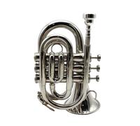 Tromba Dello Strumento Musicale Tromba In Si Bemolle Portatile In Argento Tascabile Per Principianti Strumento Per Esami Di Performance Professionale(Silver)