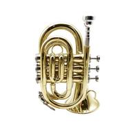Tromba Dello Strumento Musicale Tromba In Si Bemolle Portatile In Argento Tascabile Per Principianti Strumento Per Esami Di Performance Professionale(Gold)