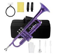 Tromba Dello Strumento Musicale Tromba In Sib E Sib Strumenti In Ottone Set Professionale Per Principianti Performance Viola