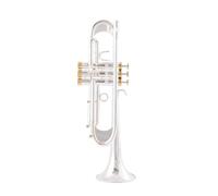 tromba dello strumento musicale Tromba In Sib Lacca Dorata Tromba Placcata Argento Strumenti Musicali In Ottone Tromba Di Tipo Composito(Color:Silver)