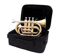 Tromba Dello Strumento Musicale Tromba Mini Sib In Ottone Con Corpo Laccato Oro Strumento A Fiato Per Principianti Con Custodia Per Il Trasporto