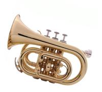 tromba dello strumento musicale Tromba Portatile B Tromba Piatta Da Palma Cornetta Tascabile Strumento In Ottone Pistone In Rame Nichelato