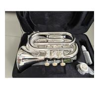 Tromba Dello Strumento Musicale Tromba Professionale Per Principianti In Si Bemolle Con Accessori Completi(Silver-plated)