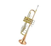 Tromba Di Fascia Alta In Si Bemolle Strumento Tromba Performance Professionale Che Insegna La Valutazione Solista