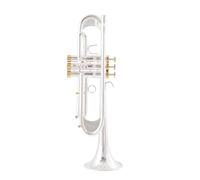Tromba Di Qualità Placcata In Argento CHIAVE ORO Piatta Sib Strumenti Musicali A Campana Tromba Professionale (Color : Silver)
