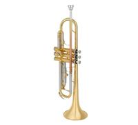 Tromba Esibizione professionale di una banda studentesca giovanile di tromba a tre chiavi in si bemolle