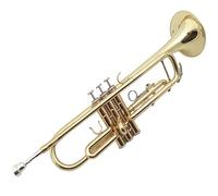 Tromba Gli studenti stanno imparando la tromba in si bemolle e la banda di ottoni occidentali per adulti che suona l'oro laccato