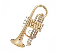 Tromba Golden Bb Cornet In Ottone Con Custodia Strumento Tromba Professionale Per Principianti