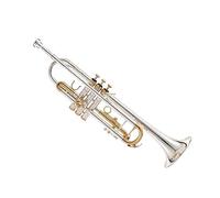 Tromba In Basso B-melodia In Ottone Placcato Argento Esame Per Principianti Che Suona Uno Strumento Musicale Per Studenti Adulti Principianti Ottone Tromba