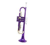 Tromba In Ottone In Si Bemolle Set Di Trombe Standard | Strumento di rovo(PURPLE)