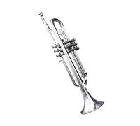 Tromba In Ottone Placcata In Argento E Laccata In Oro Strumento Musicale In Si Bemolle Esecuzione Per Esami Per Principianti Tromba Professionale(Silver plated)