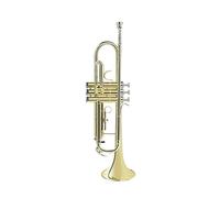 Tromba in Ottone Si Bemolle, Adatta Per Principianti, Accessorio Per Banda Musicale Scolastica, Diametro Bocchino 123 Mm