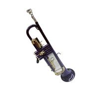 Tromba In Ottone Sib Viola Con Bocchino Guanti E Cinturino Tromba Professionale