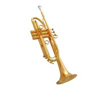 Tromba In Ottone Tromba Professionale In Ottone Placcato Oro Con Custodia Per Suonare E Fare Pratica Musicale