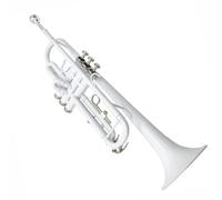 Tromba In Si Bemolle A Tre Toni Strumento In Ottone Tromba Professionale Per Principianti Tono Standard(White)