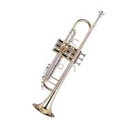 Tromba In Si Bemolle Esame Per Principianti Esibizione In Banda Oro Tromba Professionale