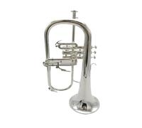 Tromba In Si Bemolle In Ottone Placcato Argento. Corno Per Strumenti Musicali In Ottone Di Qualità Con Bocchino