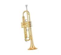 Tromba In Si Bemolle In Stile Bronzo Antico Tromba | Strumento di livello professionale; custodia inclusa.