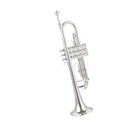 Tromba In Si Bemolle Placcata Argento Con Custodia Set Di Trombe Standard | Strumento in ottone della triade(Leather case)