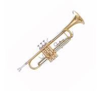 Tromba In Si Bemolle Strumento Standard Timbro Rame Bianco Professionale Principianti Timbro Standard