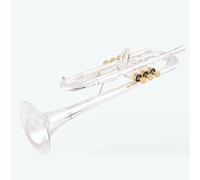 Tromba in Sib Lacca dorata Tromba placcata argento Strumenti musicali in ottone Tromba di tipo composito(TR600GS)