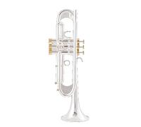 Tromba In Sib Lacca Dorata Tromba Placcata Argento Tromba Per Strumenti Musicali In Ottone Principianti Ottone Tromba (Color : 02)