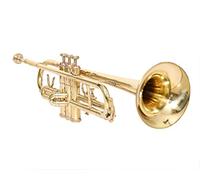Tromba in Sib Pitch ottone aspetto oro con custodia rigida e bocchino gratuiti