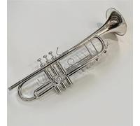 Tromba In Sib Professionale In Ottone Standard Con Custodia Per Il Trasporto(Silver)