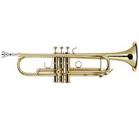 Tromba in Sib Professionale Laccata Ottone Oro 3 Pistoni Set Custodia Bocchino