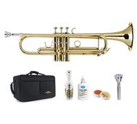 Tromba in Sib Professionale Laccata Ottone Oro Set Custodia Klier Bocchino