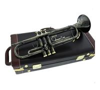 Tromba in Sib professionale Strumenti in ottone giallo placcato oro nichel nero Tromba in Sib Argento musicale popolare