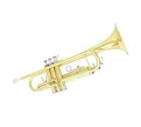 Tromba in SIB Si bemolle Ottone Oro Argento Tromba per Principianti con Kit di Accessori(Color:3/4)