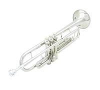 Tromba in Sib Si bemolle Ottone Oro Argento Tromba per principianti con kit di accessori(Color:4)