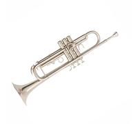 Tromba In Sib Strumento A Tre Toni Principiante Professionale Portatile Tono Standard(Silver)