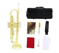 Tromba In Sib Strumento In Ottone Set Di Trombe In Ottone Standard Per Principianti Tromba In Oro Argento Con Scatola(Gold)